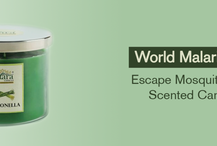 World Malaria Day 2024: Escape Mosquitos With Scented Candles