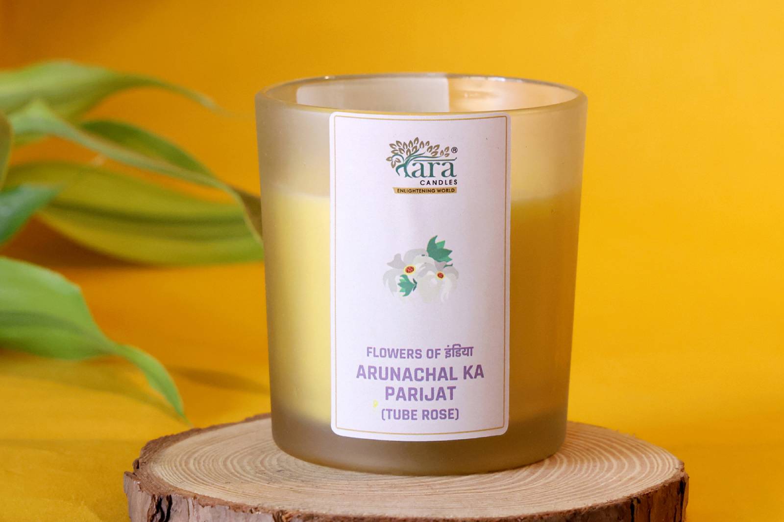 arunachal-ki-parijat-frosted-glass-jar-with-wooden-lid-dust-cover (3)