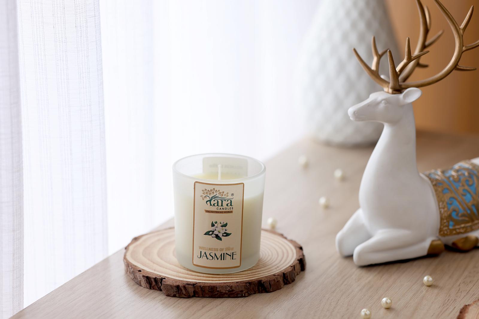 jasmine-frosted-glass-jar-with-wooden-lid-dust-cover-1